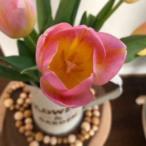 Meet your Posher, Yeon ju